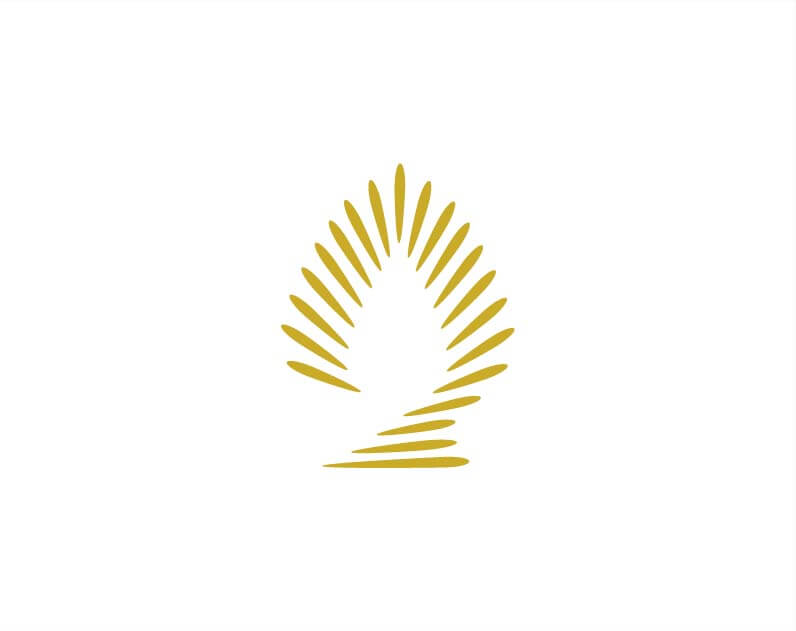 高朋水疗logo设计